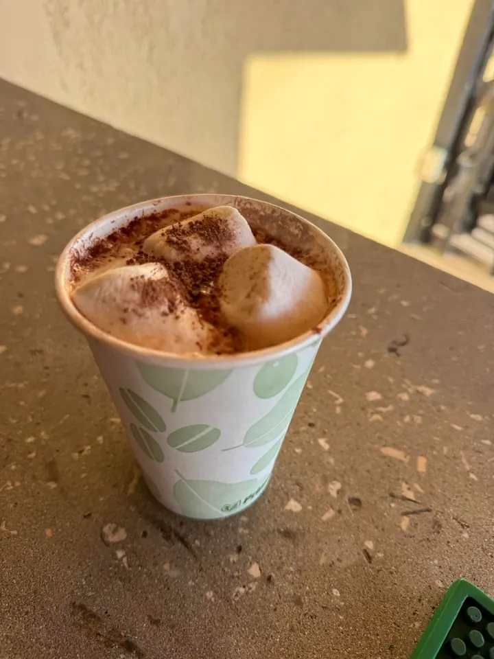 Hot chocolate with marshmallows